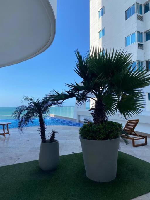 Frente A La Playa Apartamento